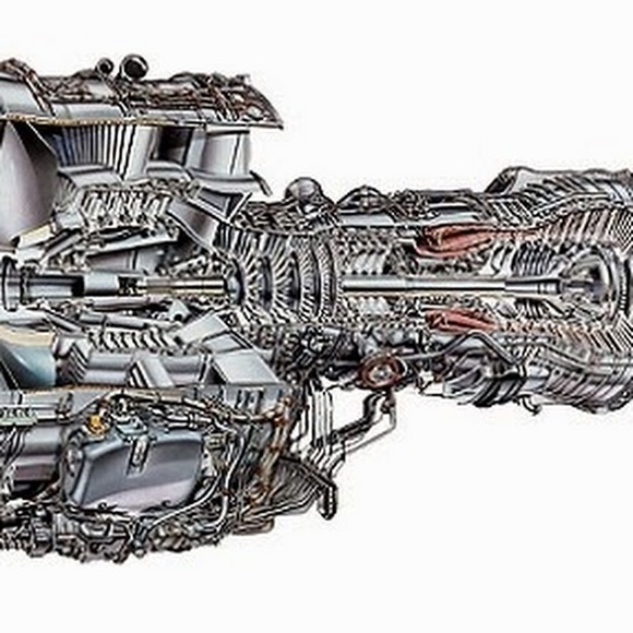 Meet your Posher, Clayton - Picture 1 of 1